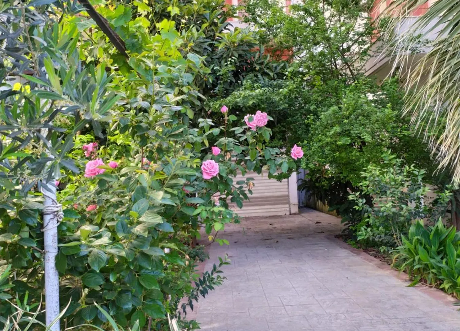 Valbona Apartments Vlorë